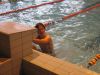 IMG_2663.jpg