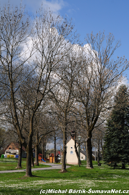 CSC_0291.jpg