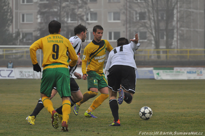 DSC_0184.jpg