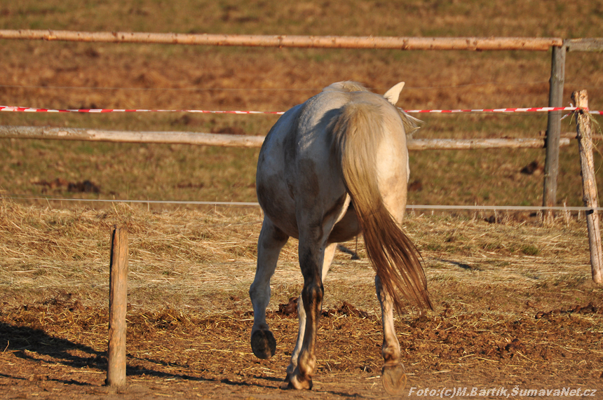 DSC_0251.jpg