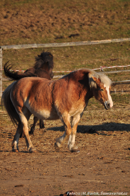 DSC_0256.jpg