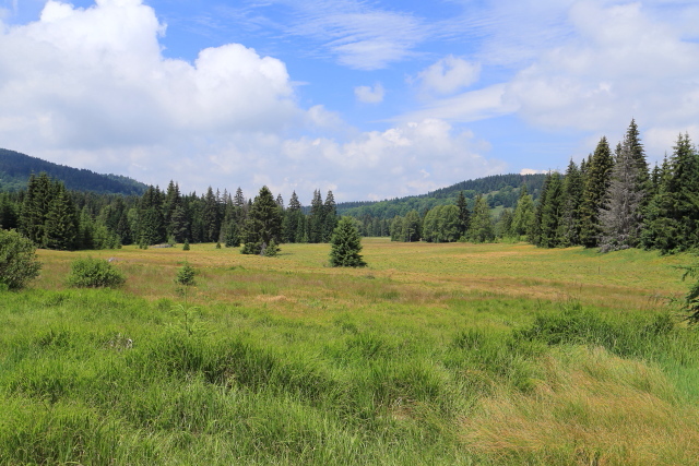 Horní tok Řasnice (u Světlých Hor)
