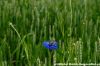 DSC_0030~3.jpg