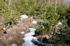 DSC_0159.jpg