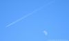 DSC_0374~1.jpg