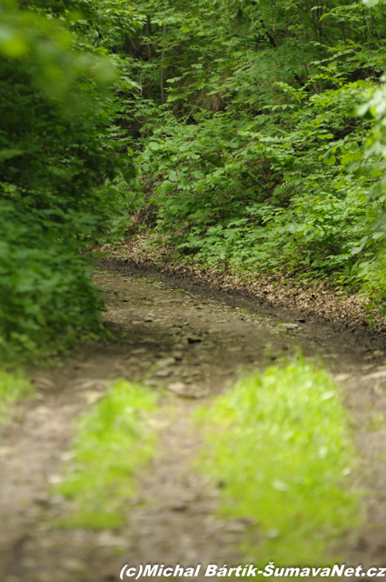 xdsc_0389-2.jpg
