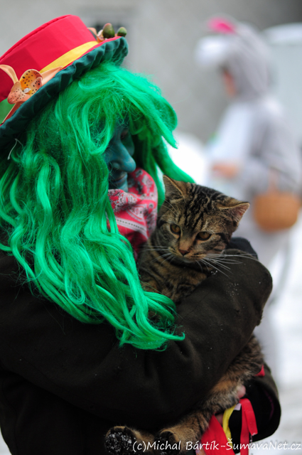 DSC_0960.jpg