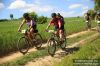 MTB17TT2151.jpg