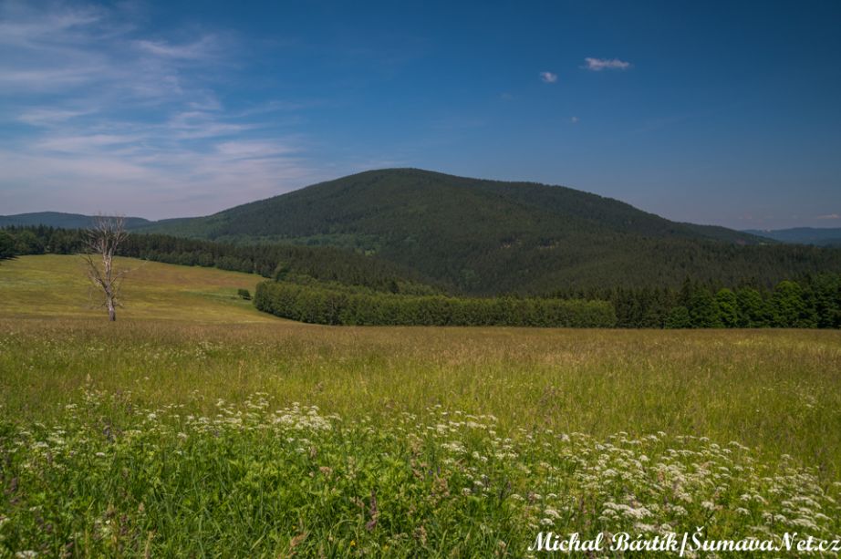 Klíčová slova: #mbartik-prasily-2019