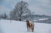 BarM_900_282329.jpg