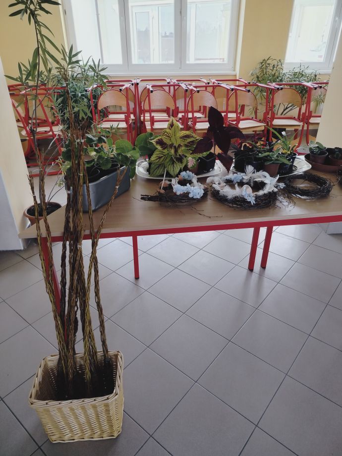 IMG20250411134241.jpg