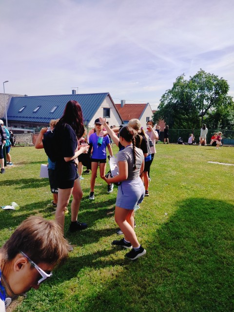 IMG20260617092743.jpg
