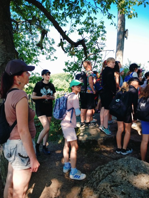 IMG20260619094026.jpg