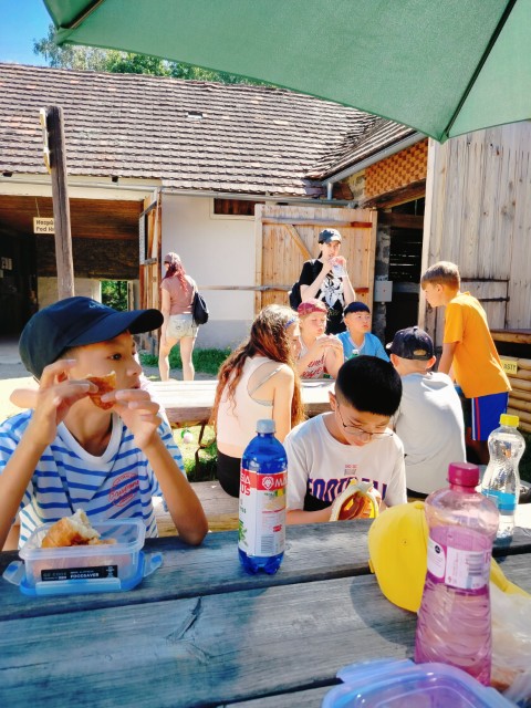 IMG20260619100303.jpg