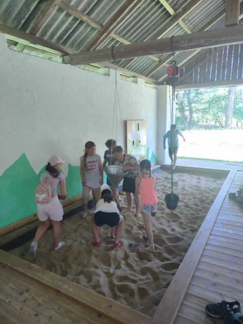 IMG20260619103612.jpg