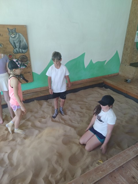 IMG20260619103742.jpg