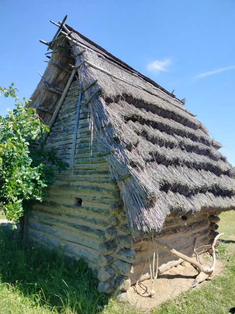 IMG20260619111155.jpg