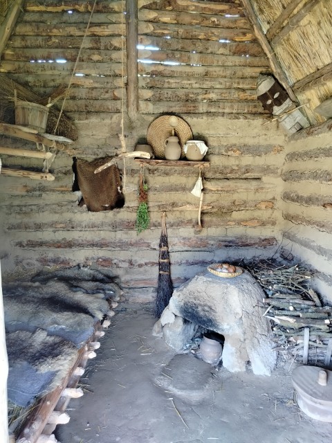 IMG20260619114907.jpg