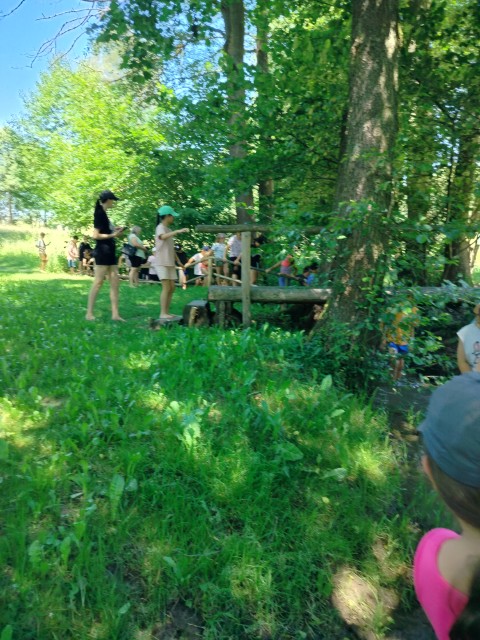 IMG20260619120650.jpg