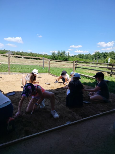IMG20260619131219.jpg