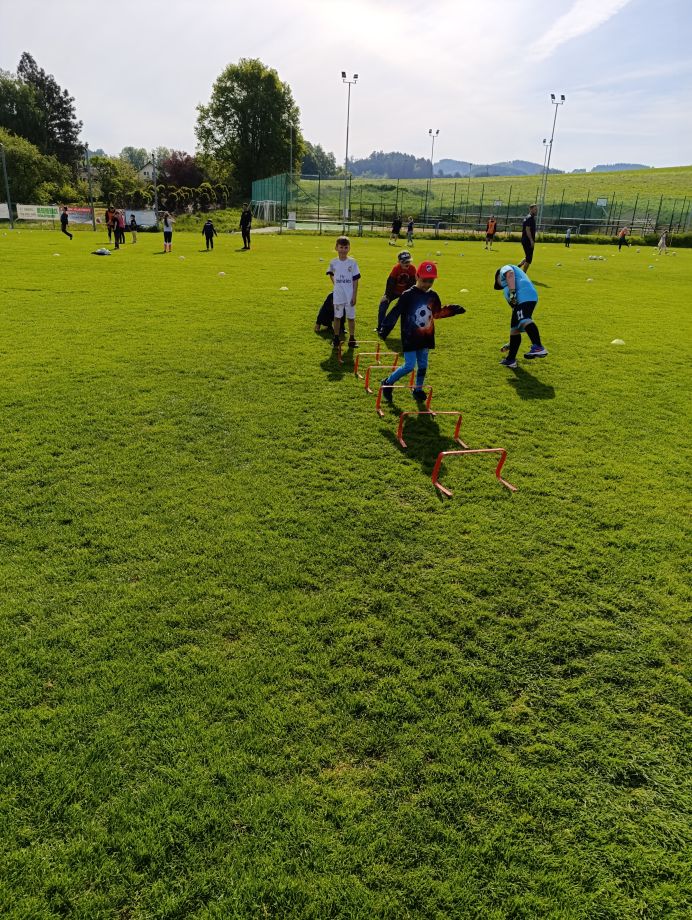 IMG_20250514_091849.jpg