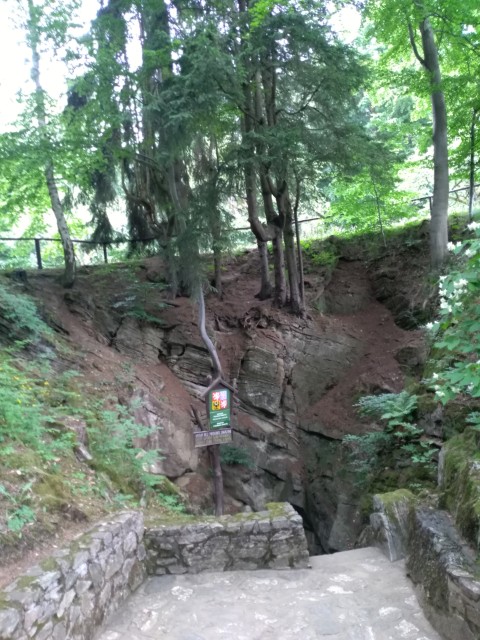 IMG_20260609_105855.jpg