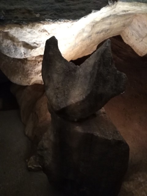IMG_20260609_115249.jpg