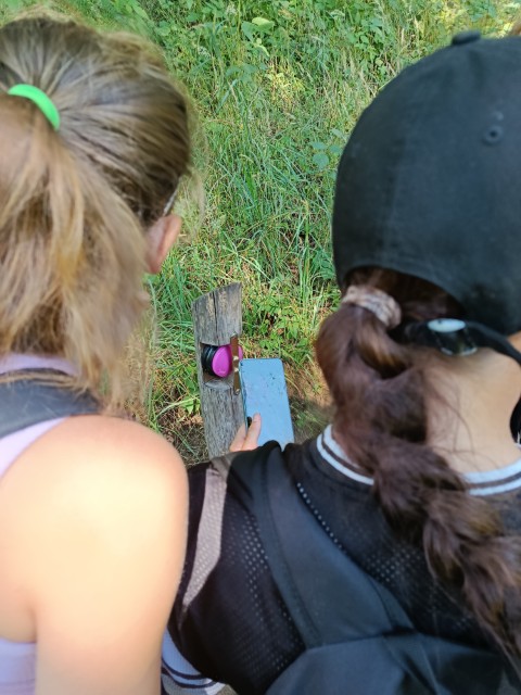 IMG_20260619_103134.jpg