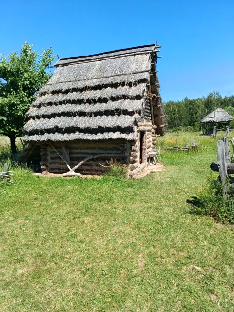 IMG_20260619_111310.jpg