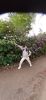 Anglie_2026_281129.jpeg