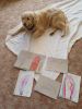 IMG-20260507-WA0009.jpg