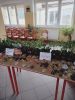 IMG20250411140507.jpg