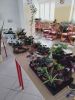 IMG20250411140520.jpg