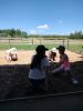 IMG20260619131215.jpg