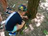 IMG_20240715_130214.jpg