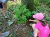 IMG_20240715_132143.jpg