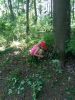 IMG_20240715_132212.jpg