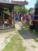 IMG_20250611_105000.jpg