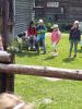 IMG_20250611_105403.jpg