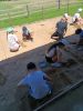 IMG_20260619_124617.jpg