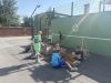 IMG_2791.jpeg
