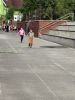 IMG_9627.jpeg