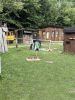 IMG_9708.jpeg