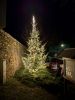PXL_20241129_161740035_NIGHT.jpg
