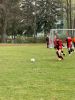 WhatsApp_Image_2026-04-21_at_11_40_06_28329.jpeg